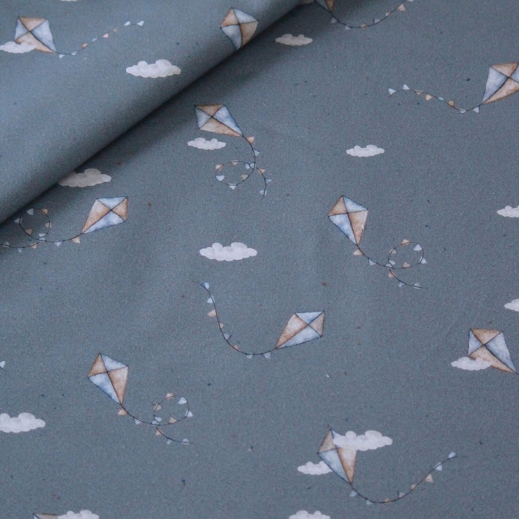 French Terry Drachensteigen blau