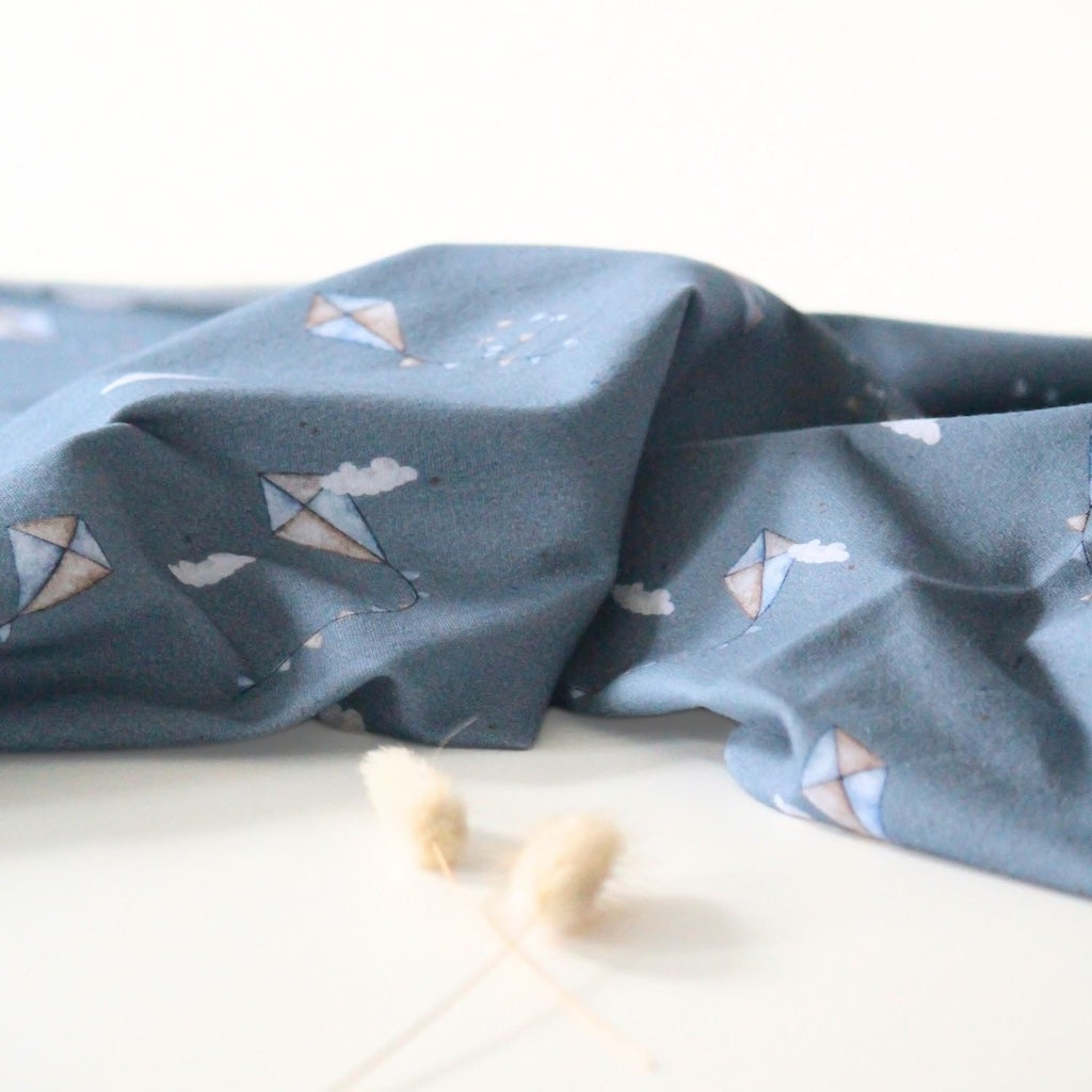 French Terry Drachensteigen blau