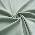Bild in Galerie-Betrachter laden, Rib Jersey Mint (Farbe 041)