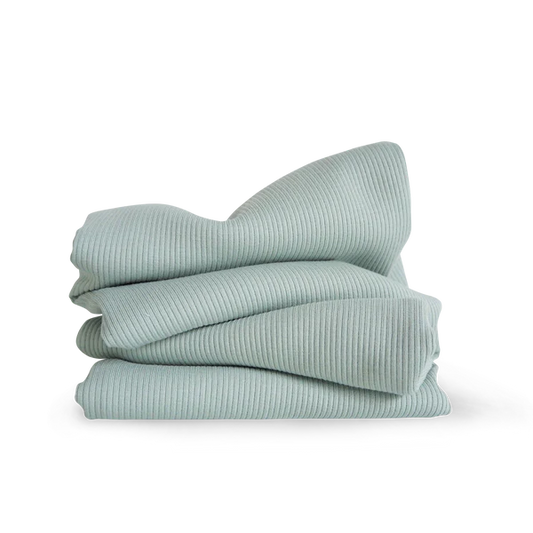 Rib Jersey Mint (Farbe 041)