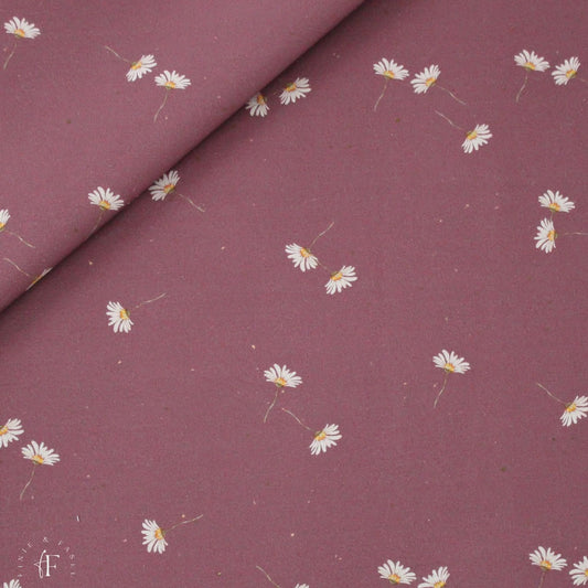 Jersey Margeriten (berry)