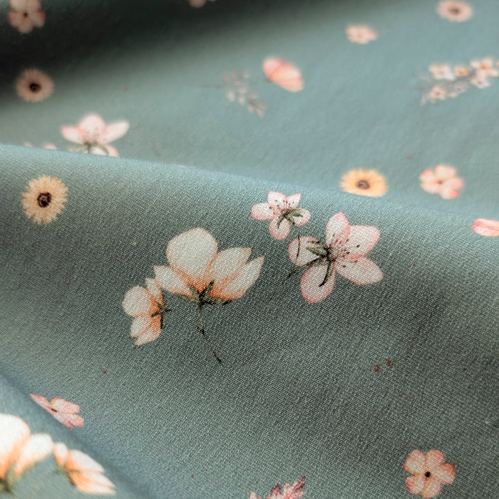 Jersey Apricot Blossom