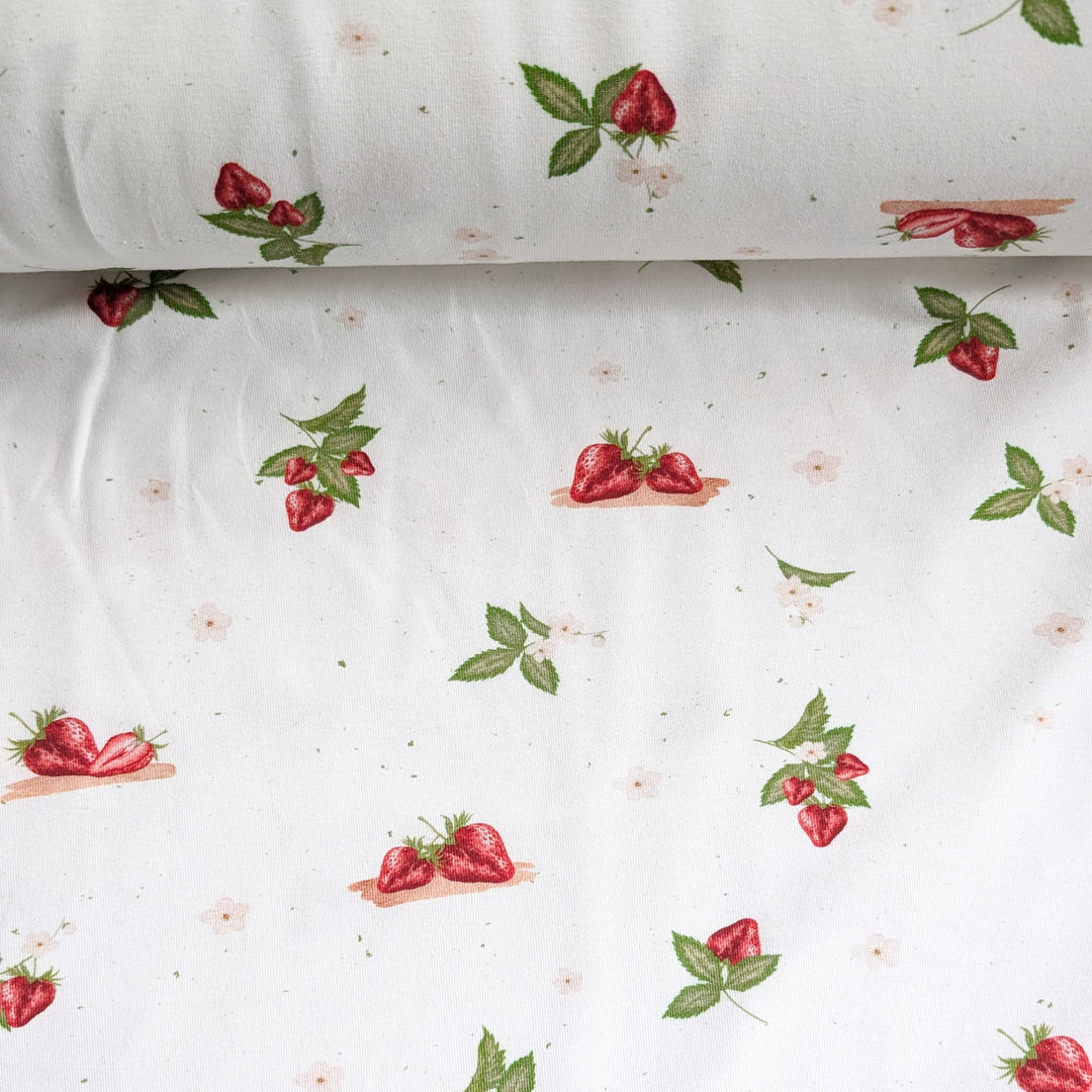 Jersey Erdbeeren (Meterware - Fehldruck -50%)  B Ware