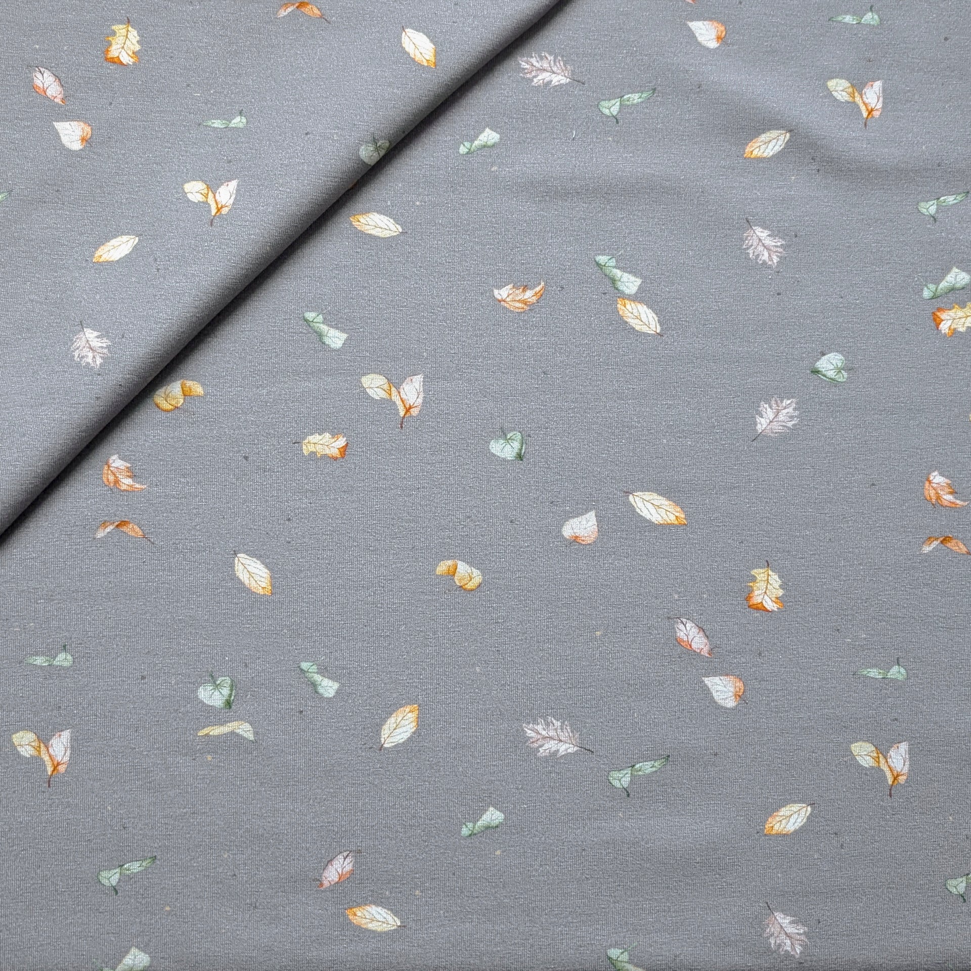 French Terry Blätterzauber (dunkelgrau)