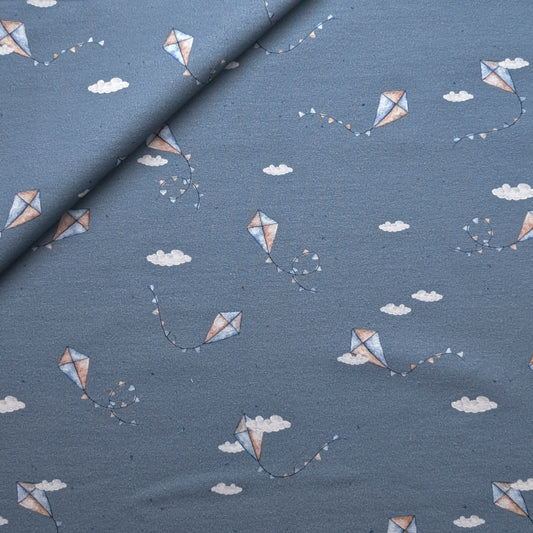 French Terry Drachensteigen blau