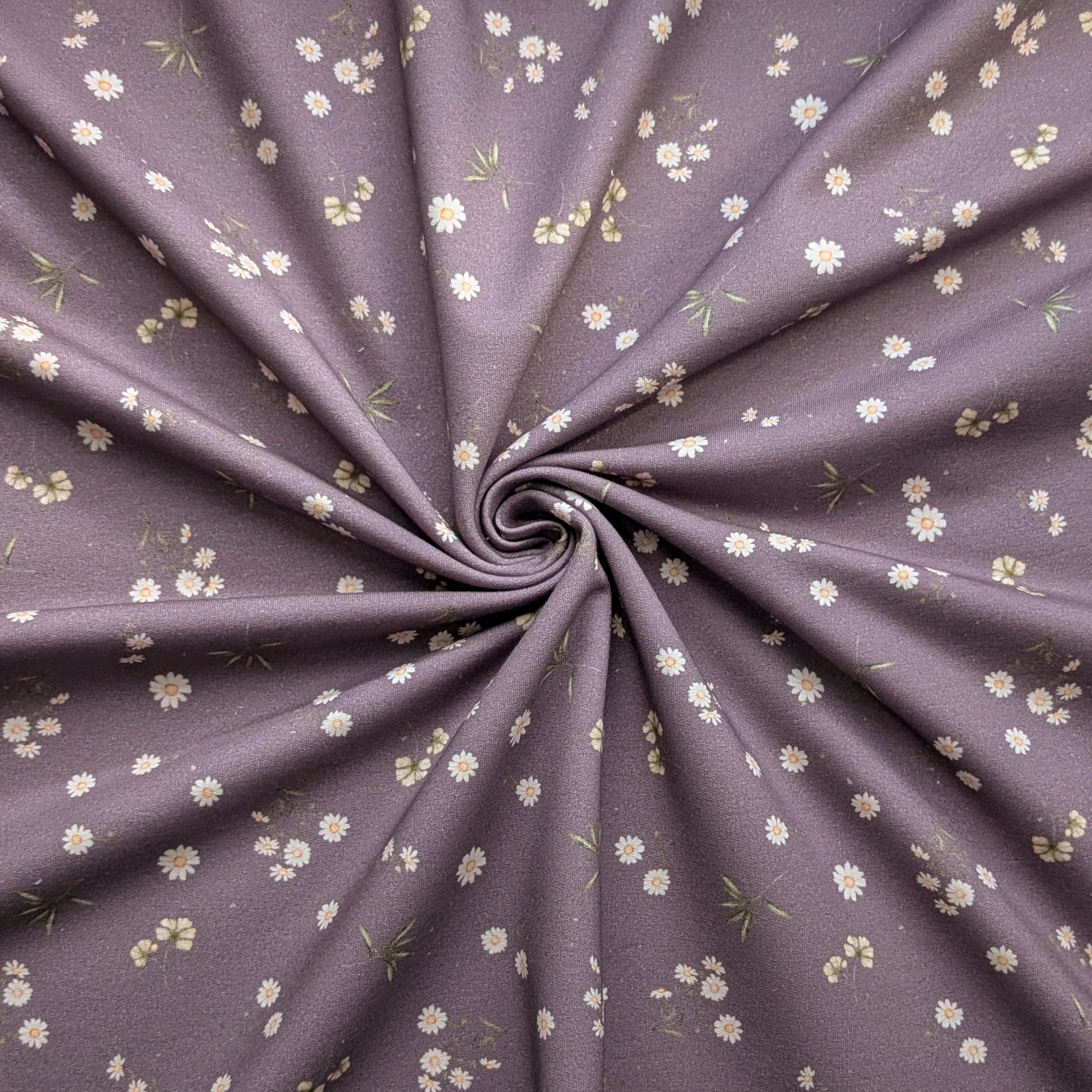 French Terry Camille (pflaume)