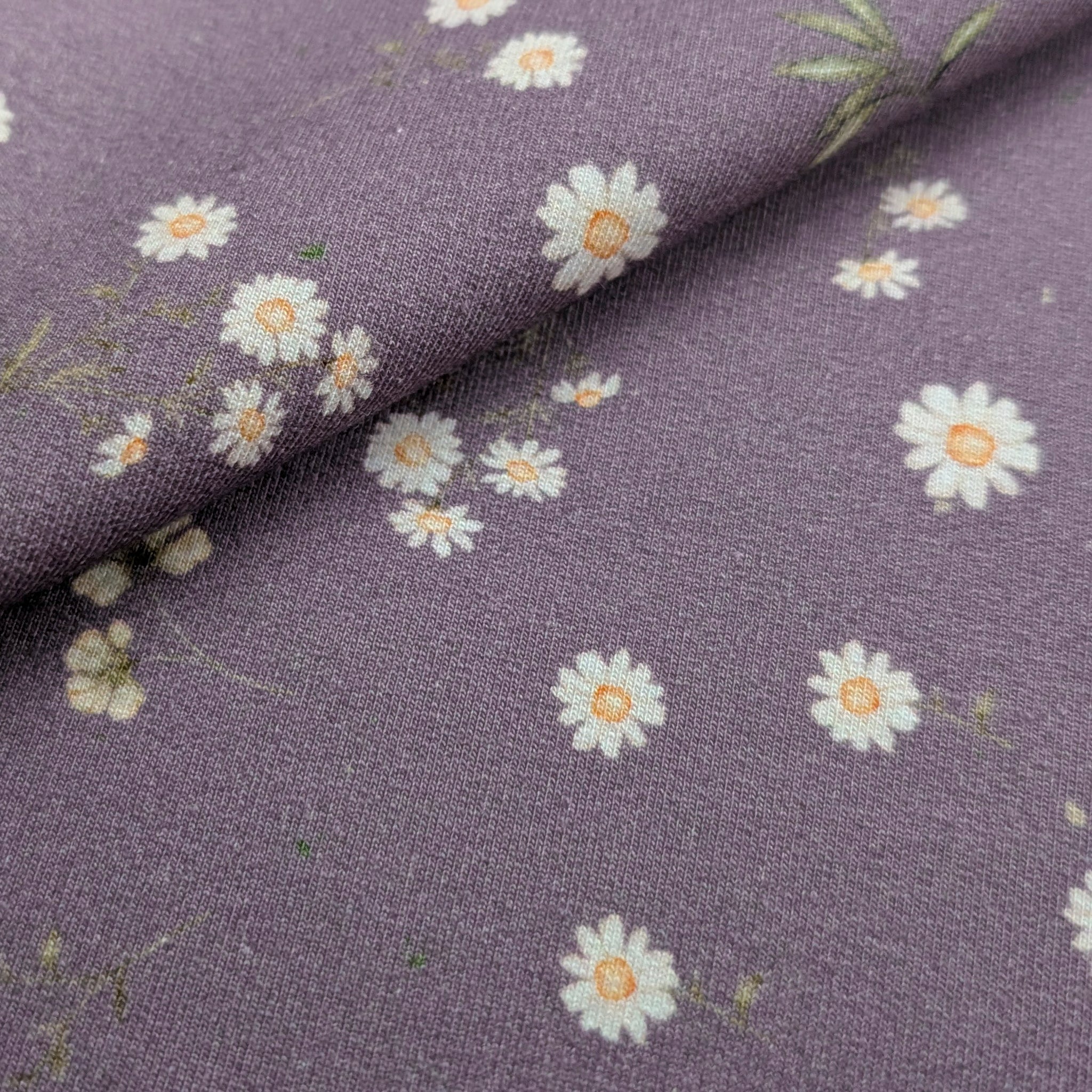 French Terry Camille (pflaume)