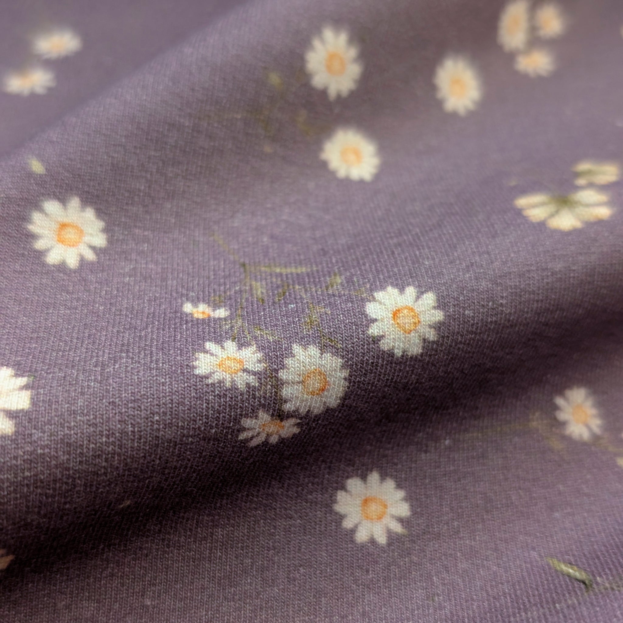 French Terry Camille (pflaume)