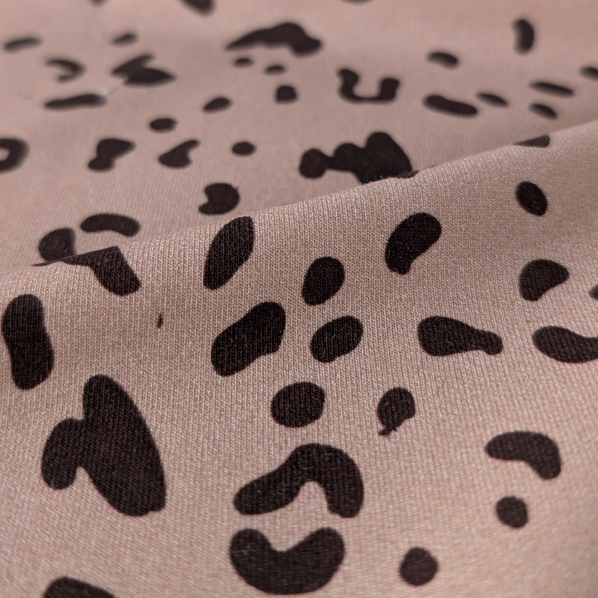 French Terry  Chocolat Leo