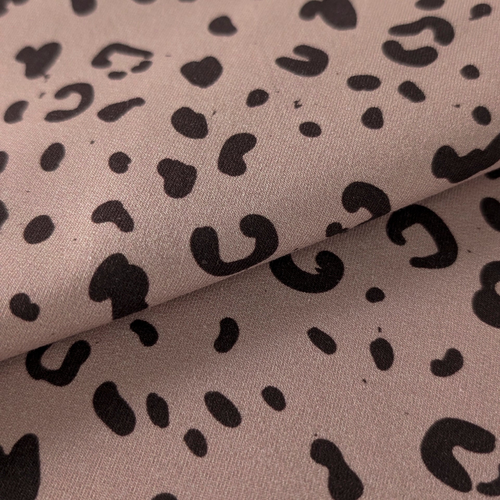 French Terry  Chocolat Leo