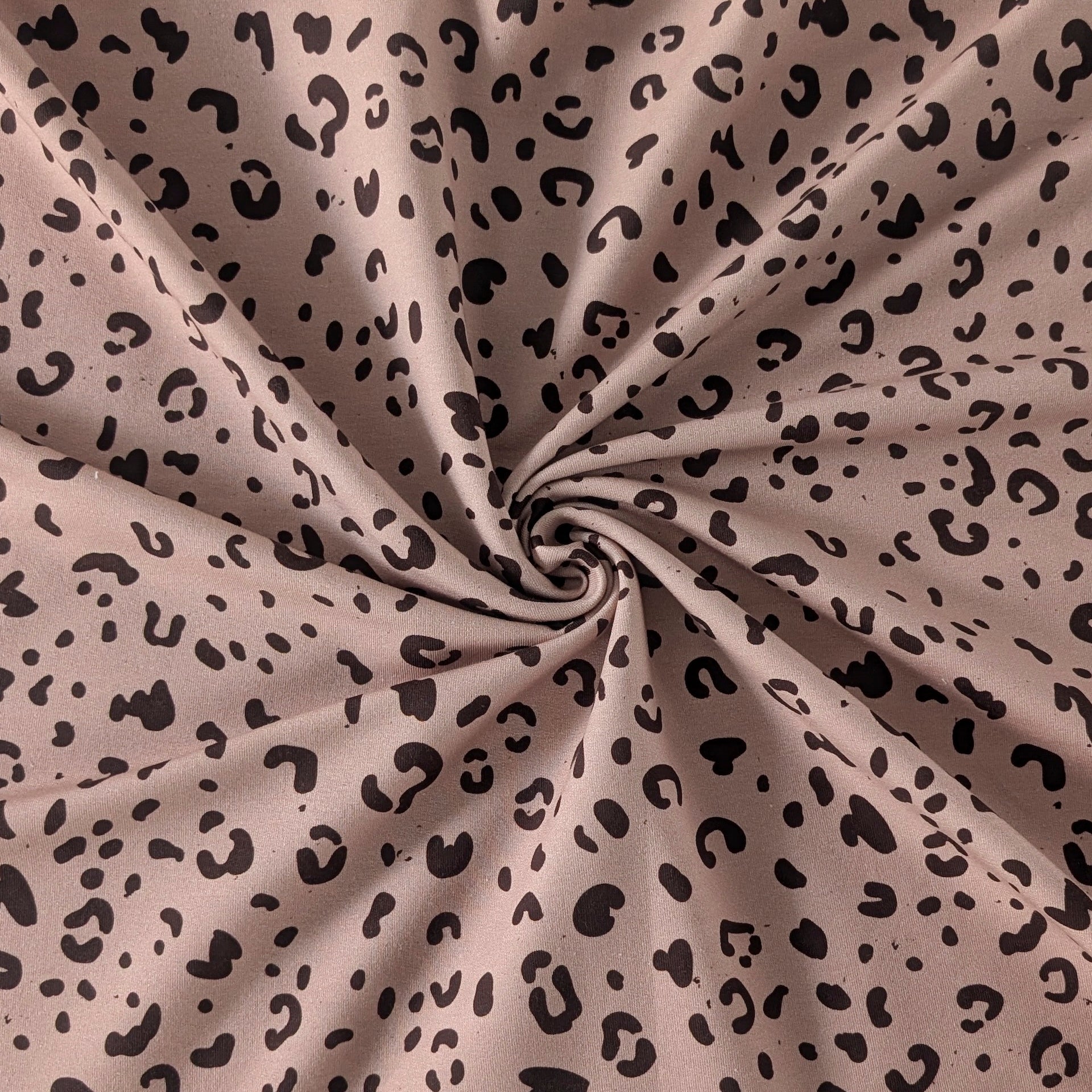 French Terry  Chocolat Leo