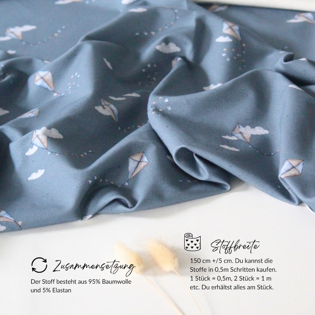 French Terry Drachensteigen blau