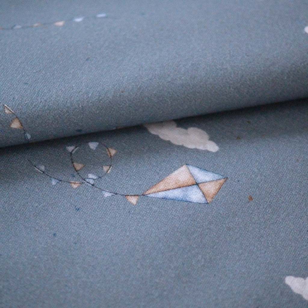 French Terry Drachensteigen blau