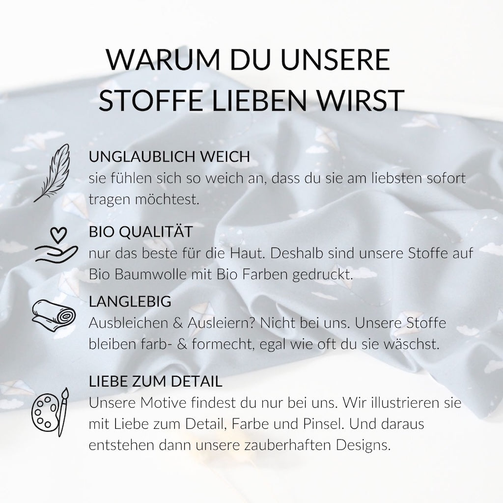 French Terry Drachensteigen blau