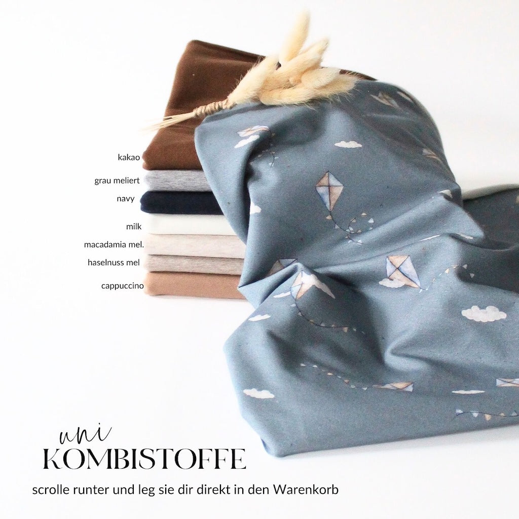 French Terry Drachensteigen blau