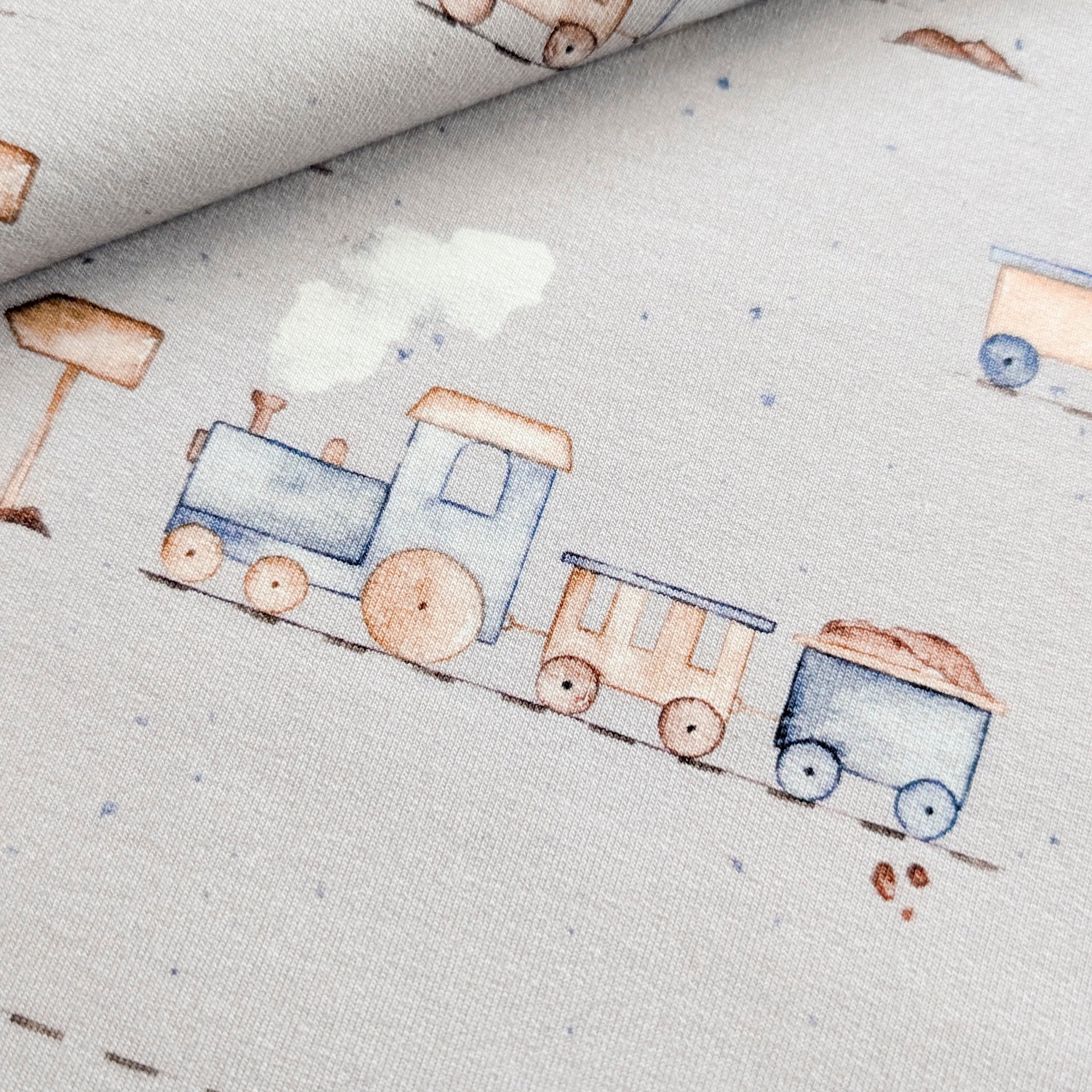 French Terry Eisenbahn