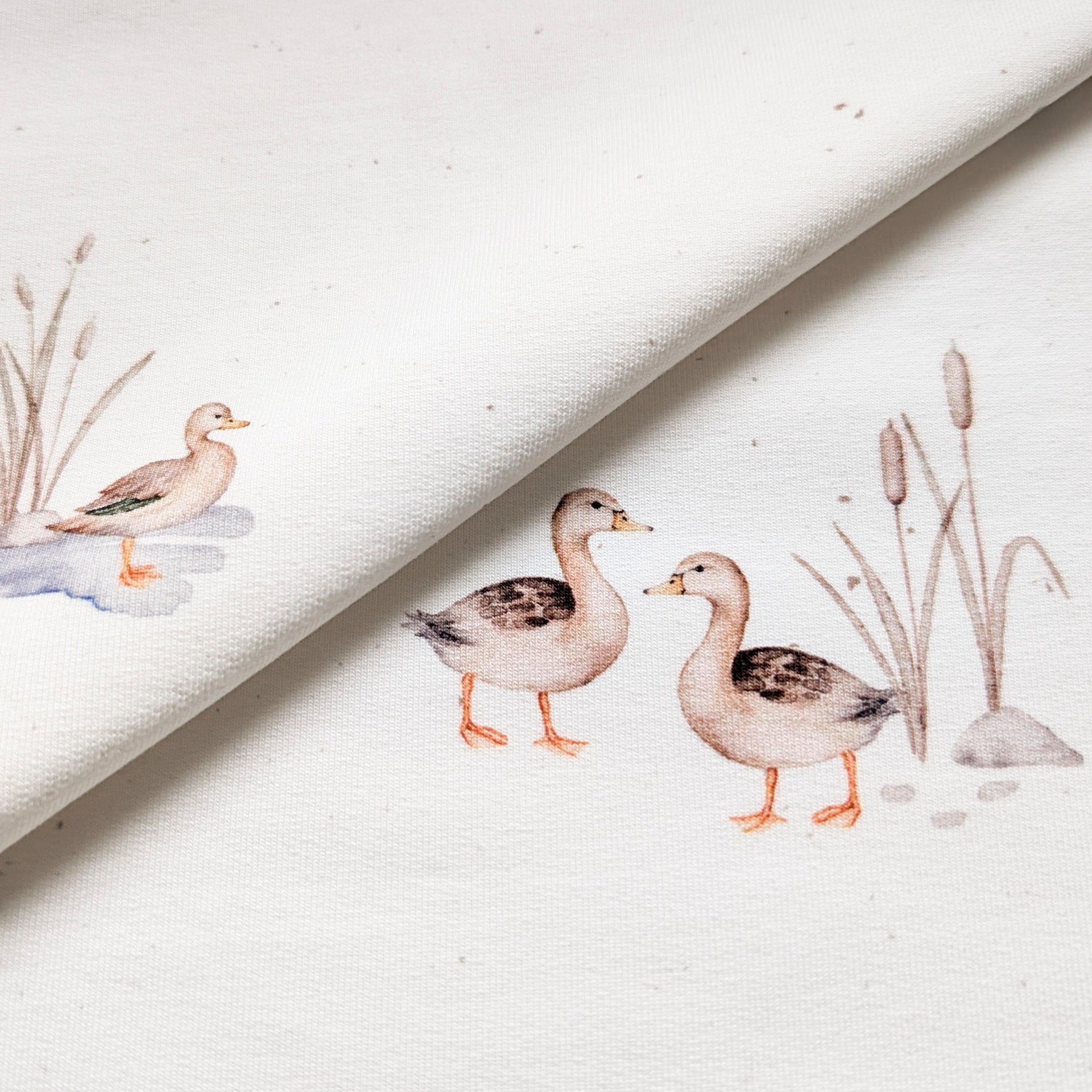 French Terry Entenfamilie