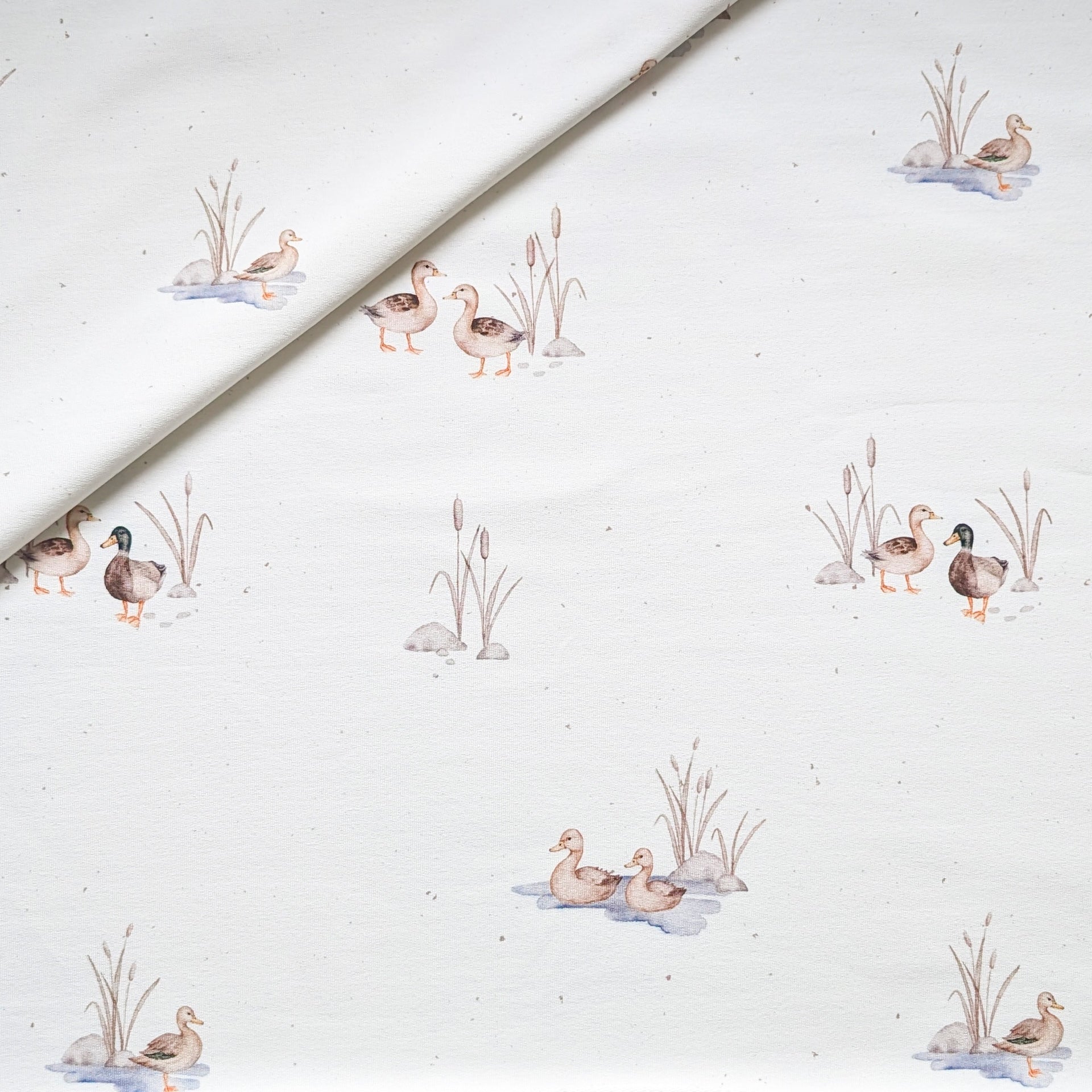 French Terry Entenfamilie