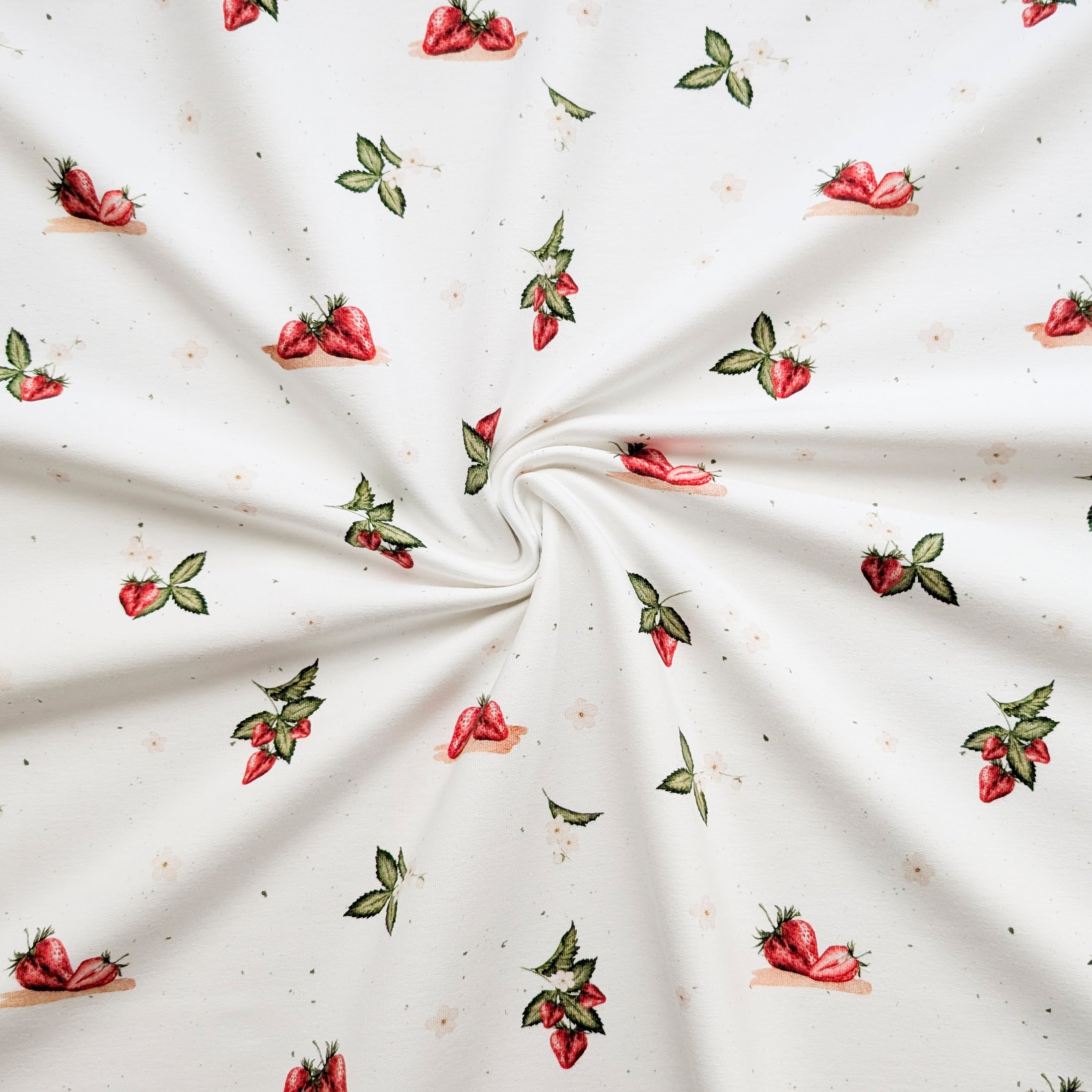 Vorbestellung French Terry Erdbeerliebe