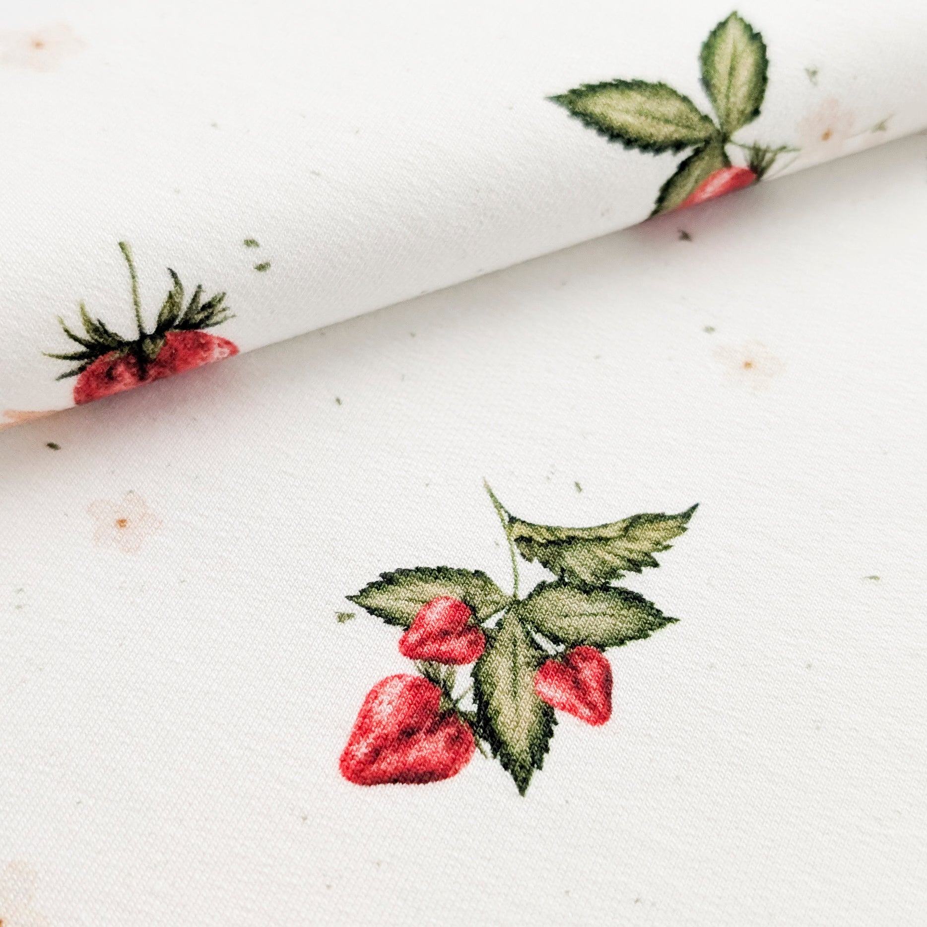 Vorbestellung French Terry Erdbeerliebe