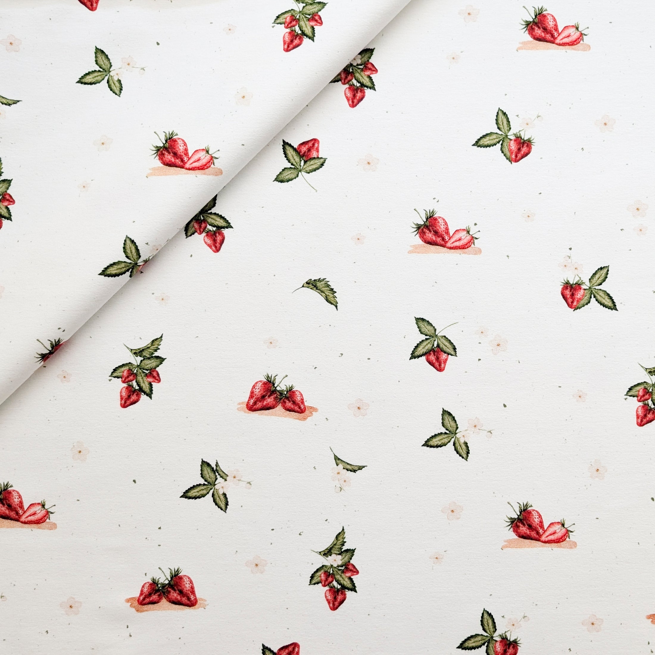 Vorbestellung French Terry Erdbeerliebe