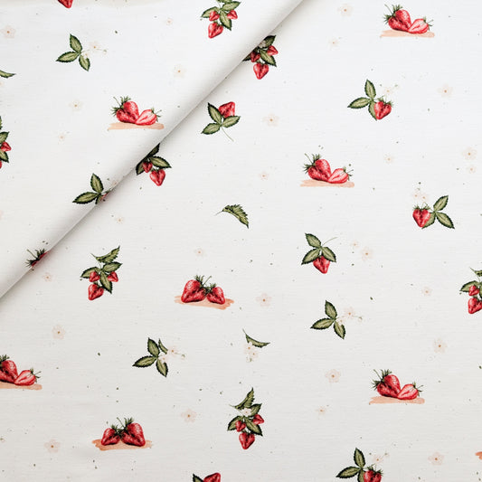 Vorbestellung French Terry Erdbeerliebe