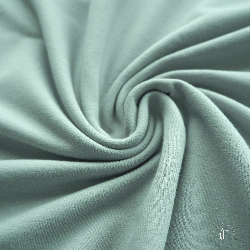 French Terry Mint (Farbe 041)