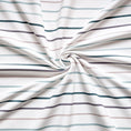 Bild in Galerie-Betrachter laden, French Terry Konfetti Stripes Mint
