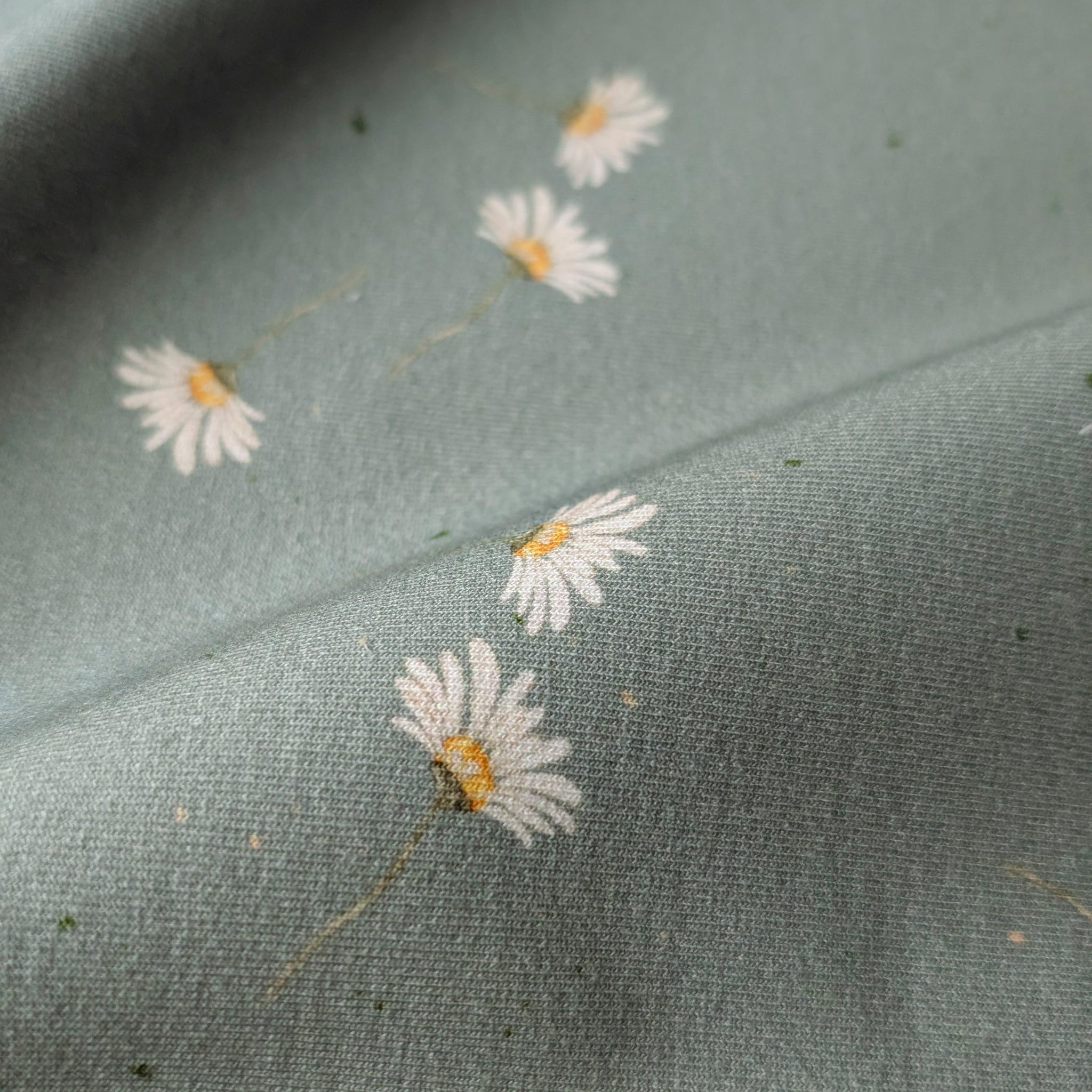 French Terry Margarita altgrün