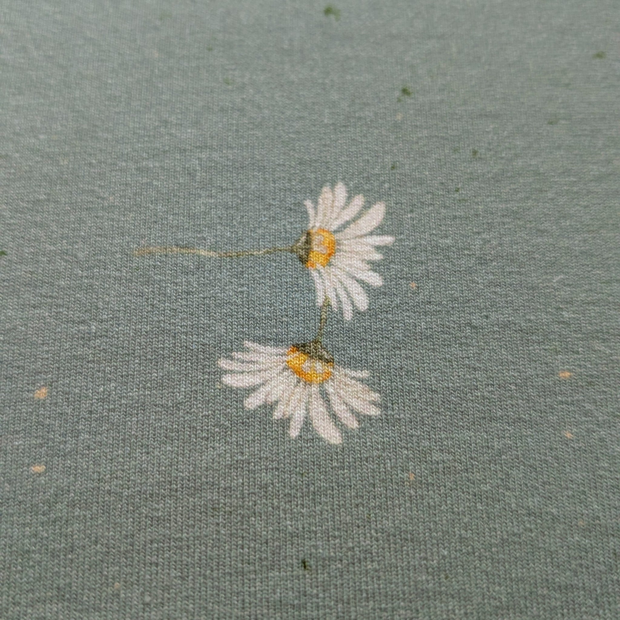 French Terry Margarita altgrün