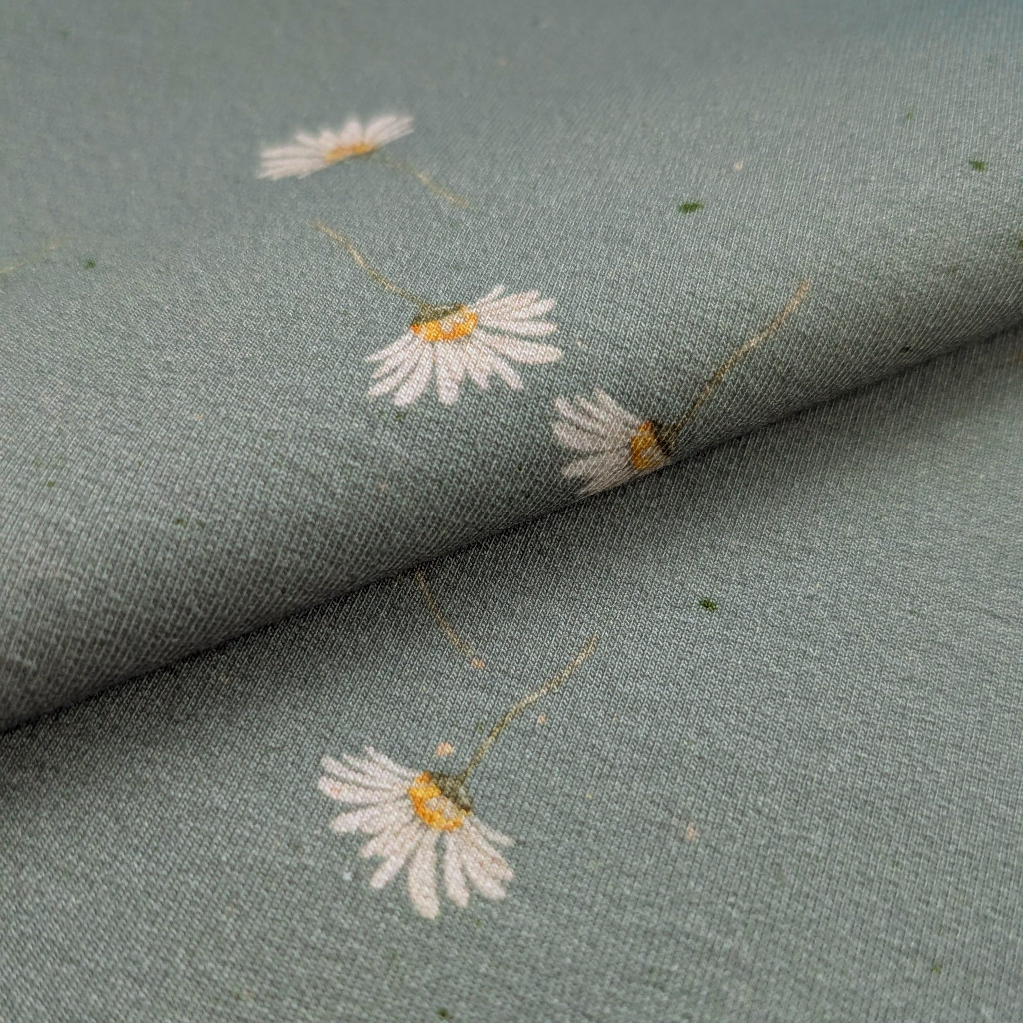 French Terry Margarita altgrün