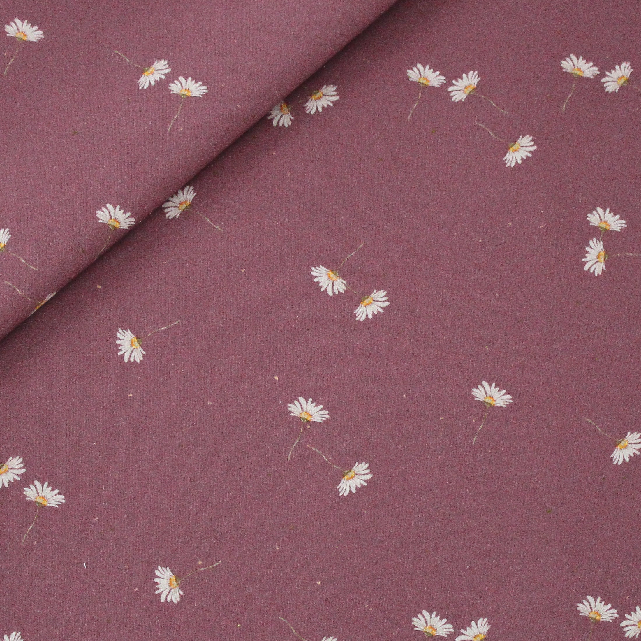 B Ware French Terry (Meterware) Margeriten berry (Webfehler)