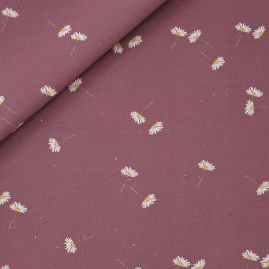 B WareJersey (Meterware) Margeriten berry (weiße Streifen am Rand )