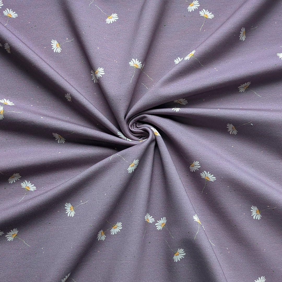 Jersey Margeriten mauve 0,26m
