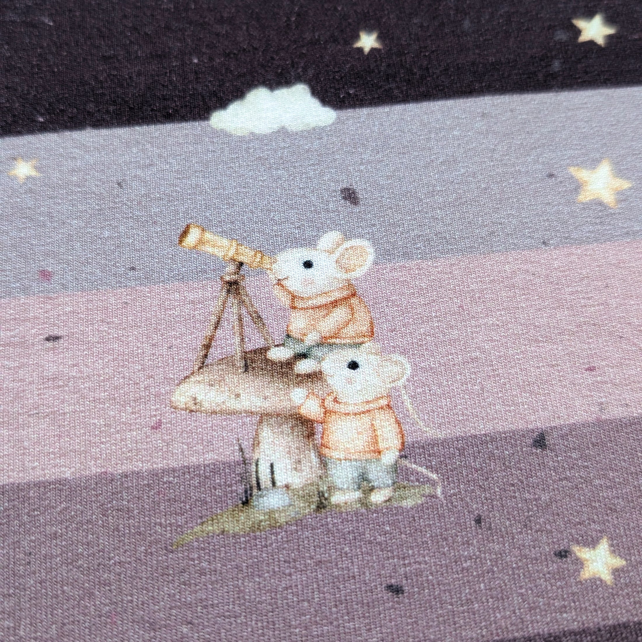 Vorbestellung French Terry Mausbilck mauve