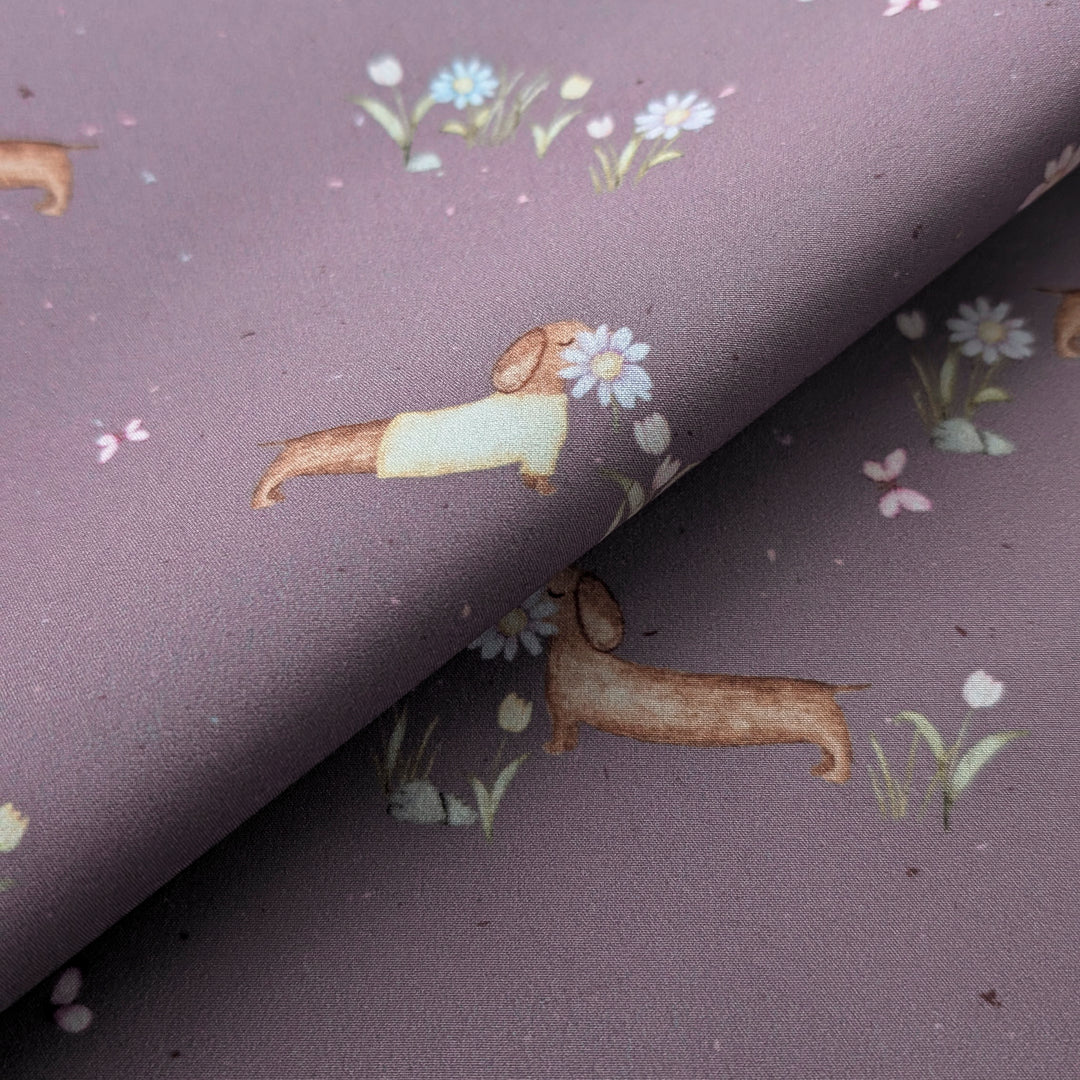 Softshell Frühlingsdackel mauve