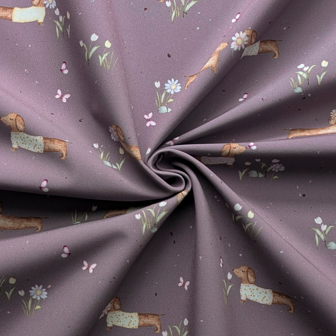 Softshell Frühlingsdackel mauve