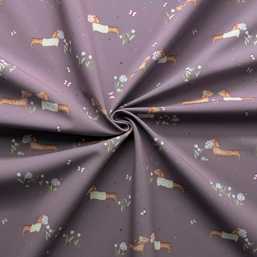 Softshell Frühlingsdackel mauve