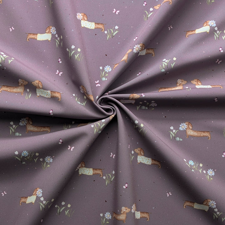 Softshell Frühlingsdackel mauve