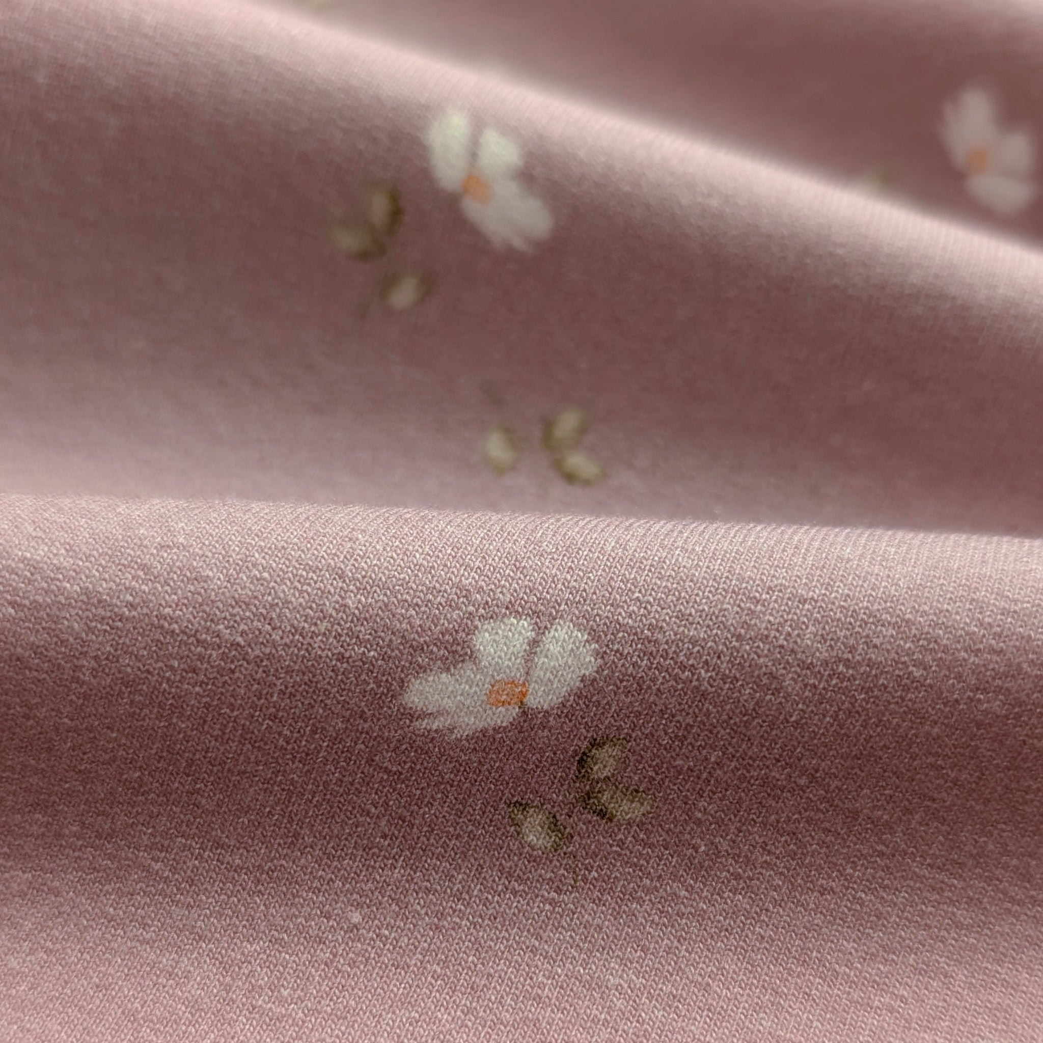 French Terry Petite Fleurs (staubrosa)