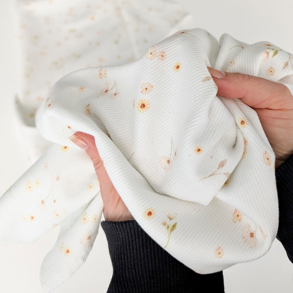 Rib Jersey Apricot Blossom