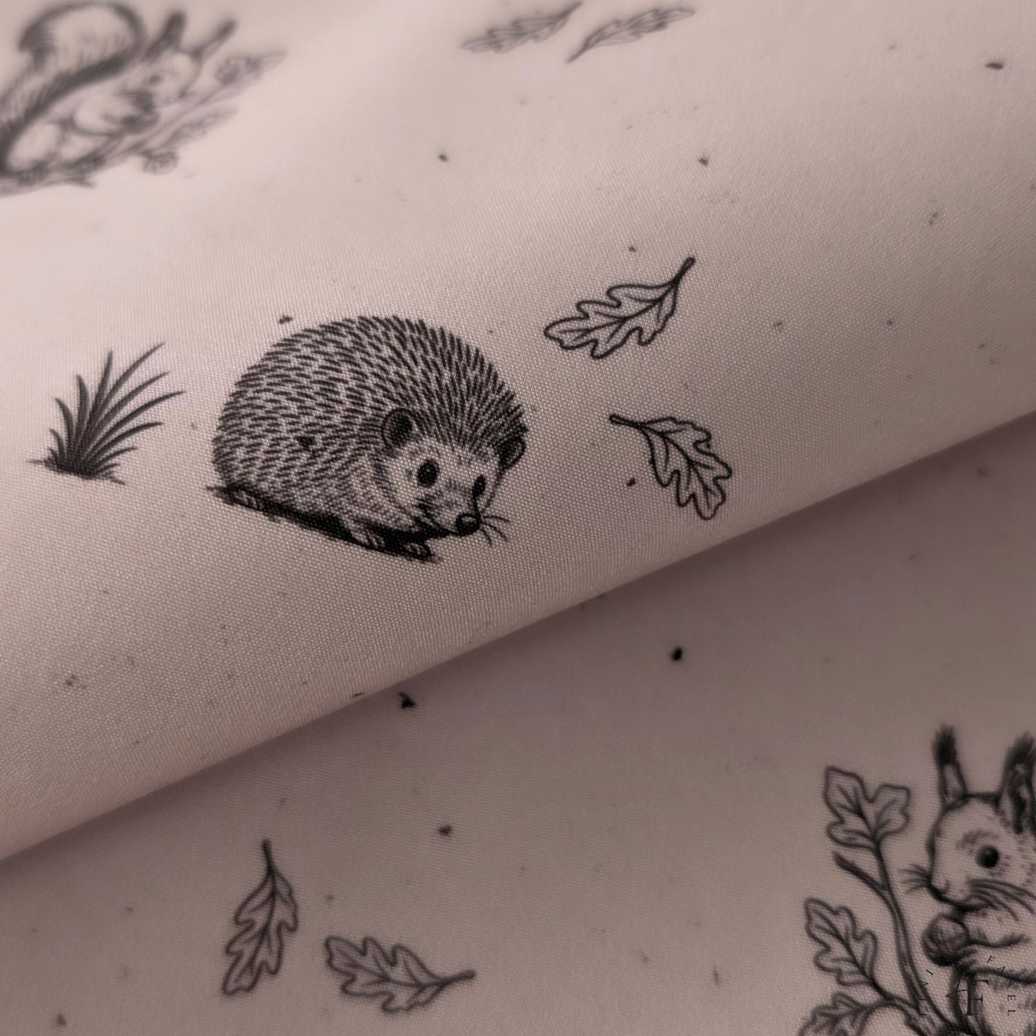 Vorbestellung Softshell Woodland Friends