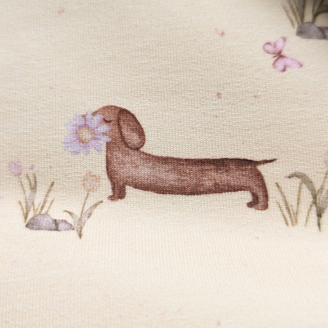 Jersey Frühlingsdackel butteryellow