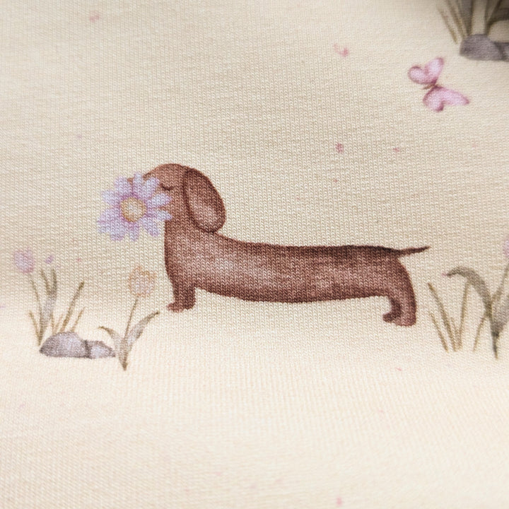 Jersey Frühlingsdackel butteryellow