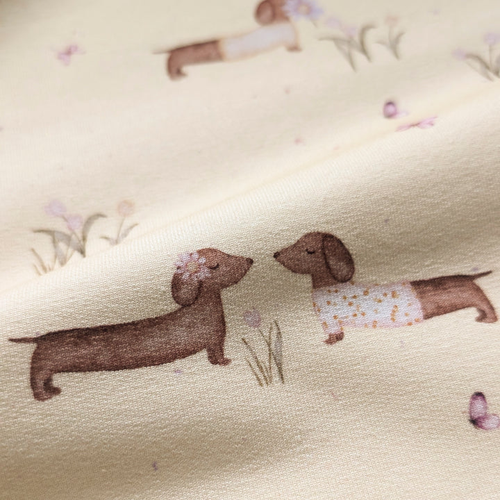 Jersey Frühlingsdackel butteryellow