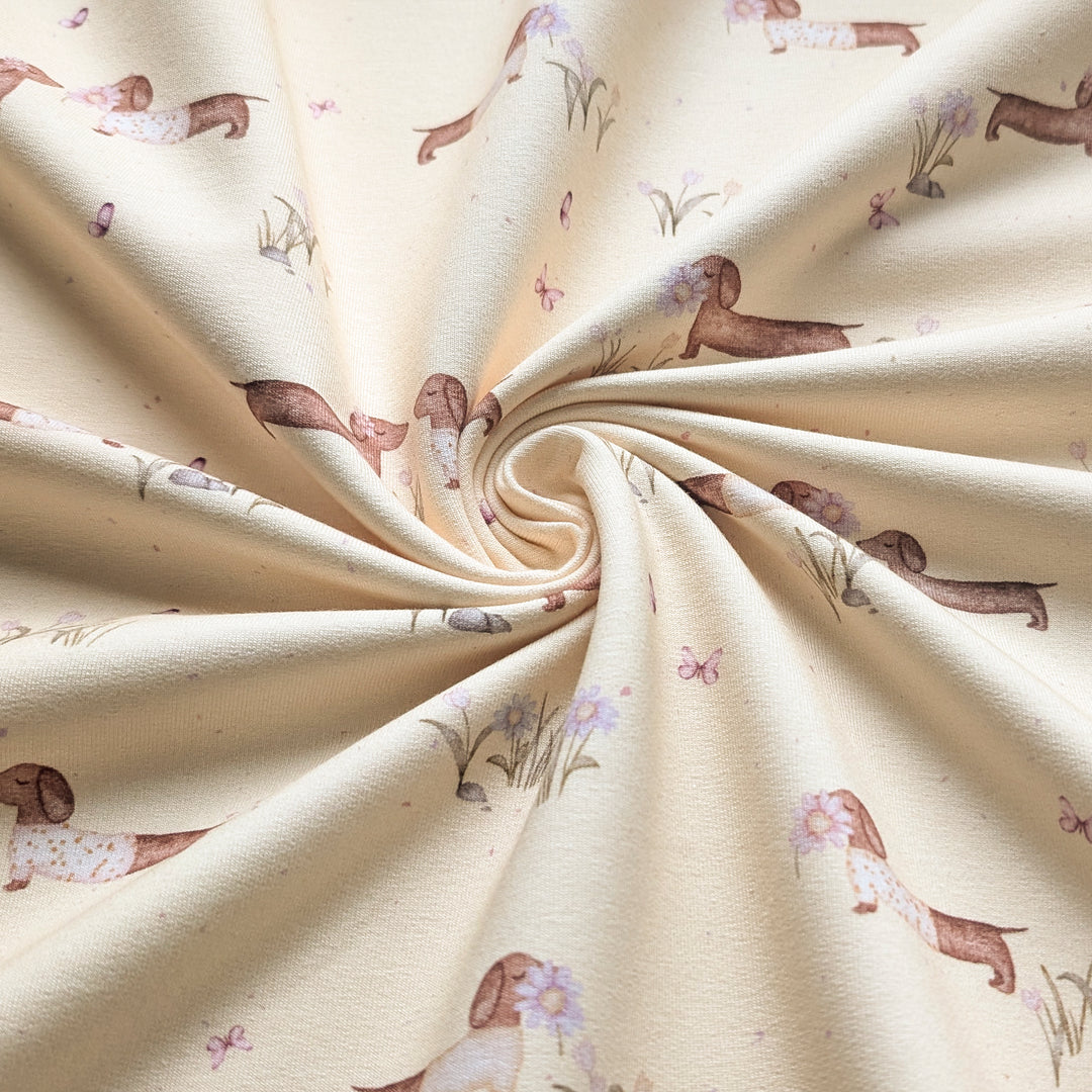 Jersey Frühlingsdackel butteryellow