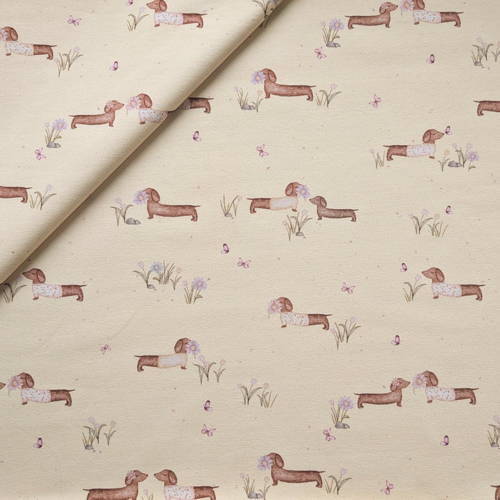 Jersey Frühlingsdackel butteryellow