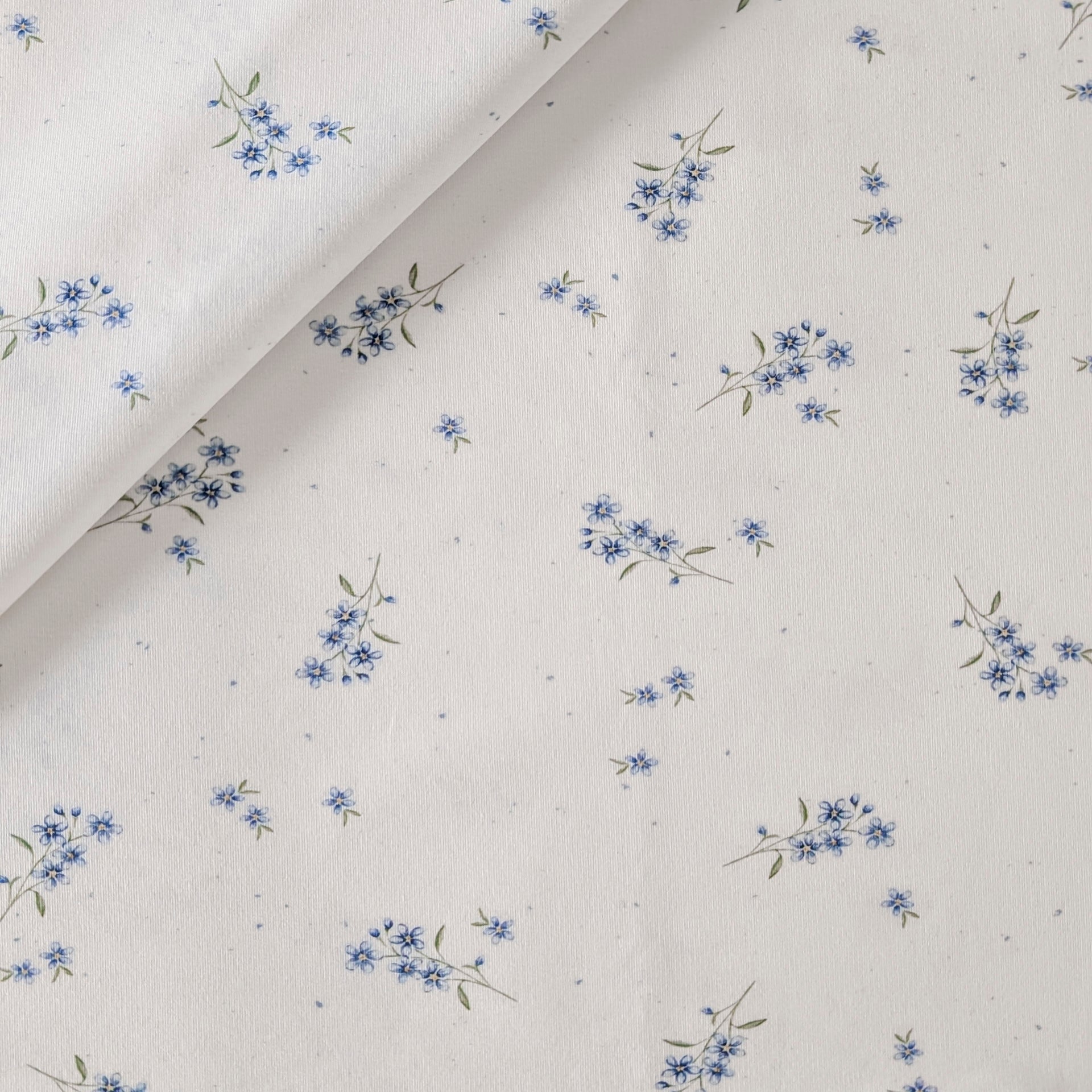 French Terry Vergissmeinnicht (Blumen)