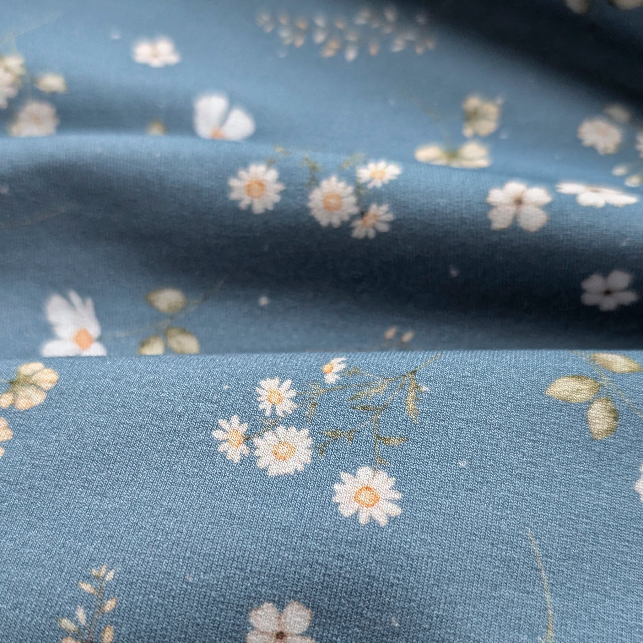 French Terry Wiesenblumen (blau)