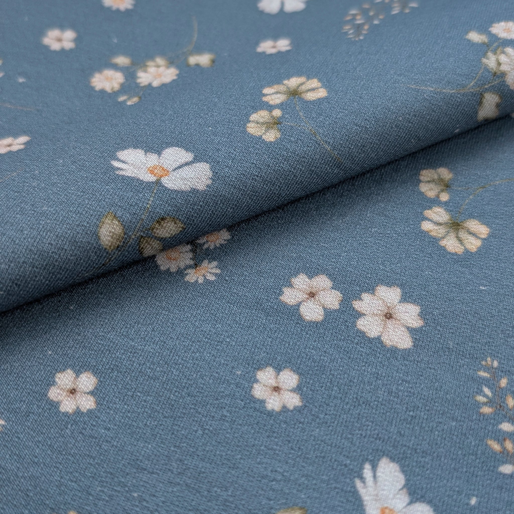 French Terry Wiesenblumen (blau)